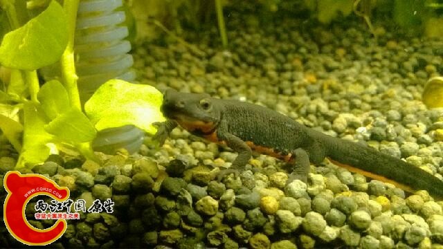 IMG_20140323_174008.jpg