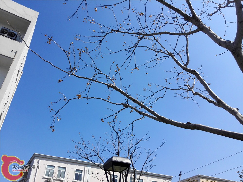IMG_20140323_101807.jpg