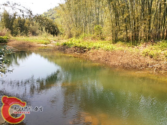 20140324_135956_副本.jpg