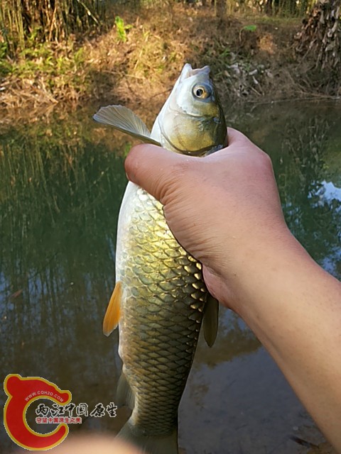 20140324_155849_副本.jpg