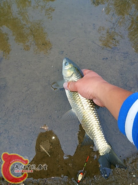 20140324_155917_副本.jpg