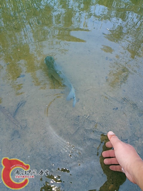 20140324_155922_副本.jpg