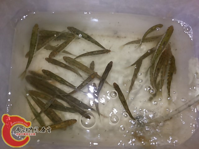 20140324_170756_副本.jpg