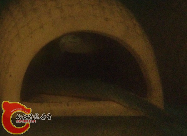 某“蛇”  草绳恐龙2