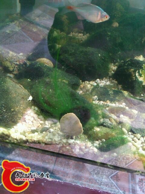 YP20140326114157.jpeg