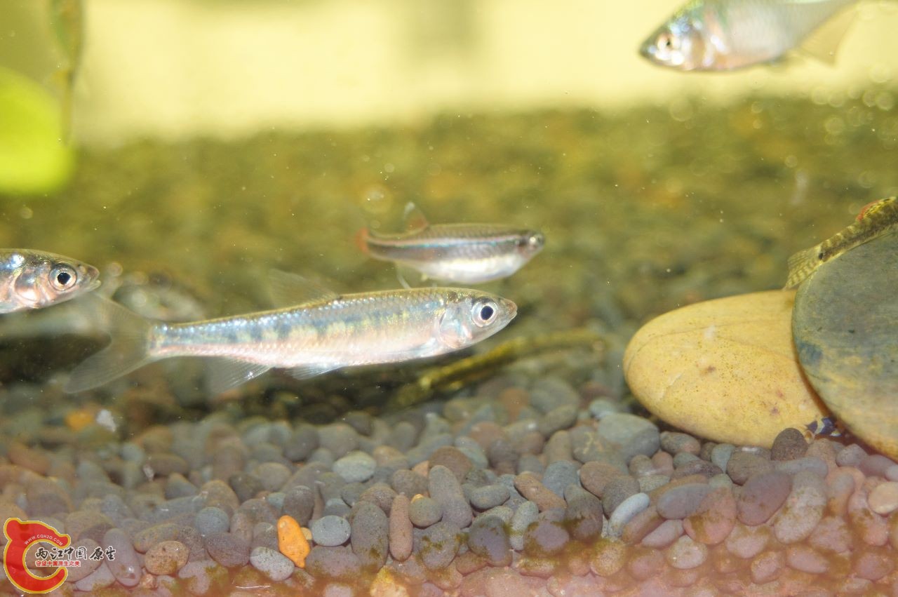 DSC03783 (1280x851).jpg