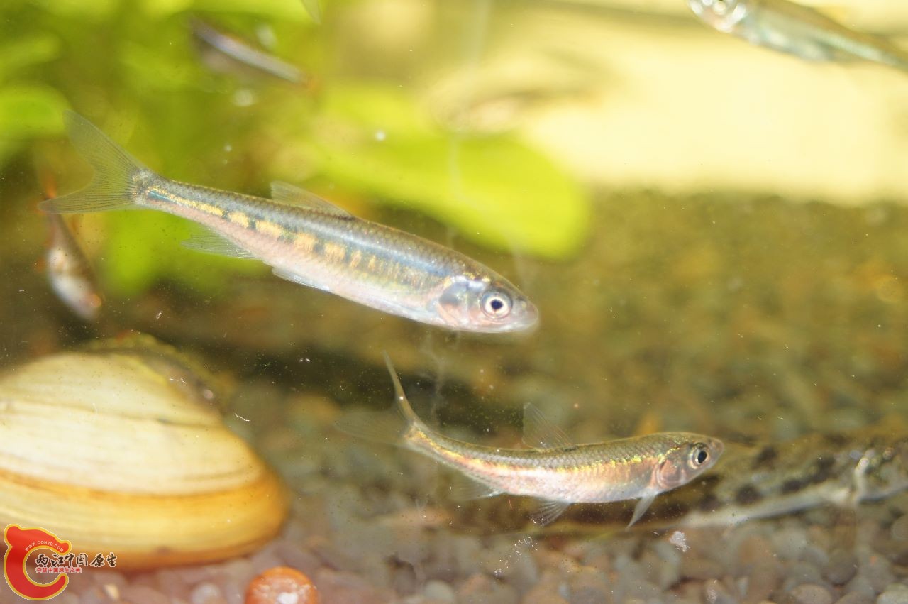 DSC03803 (1280x851).jpg