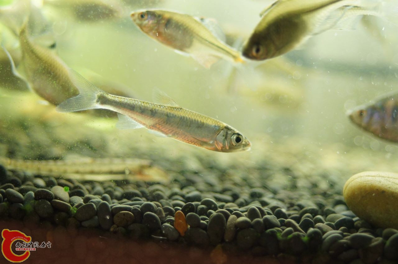 DSC03870 (1280x851).jpg