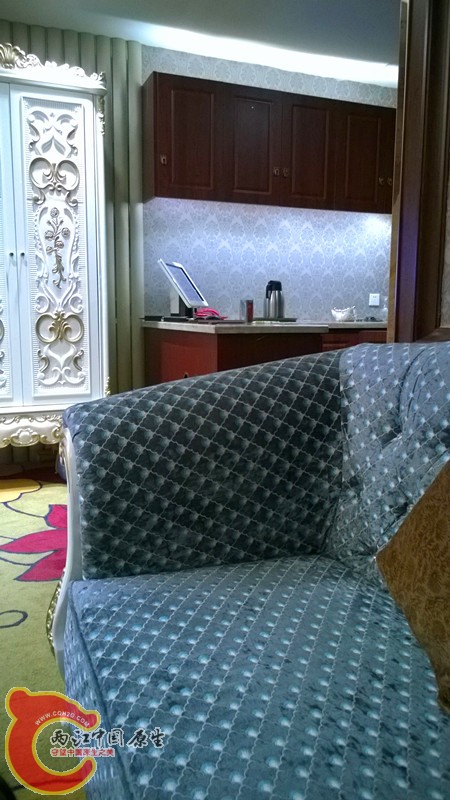 WP_20140308_003.jpg