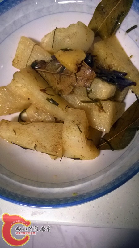 WP_20140327_049.jpg