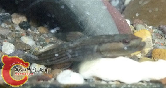 201403.JPG