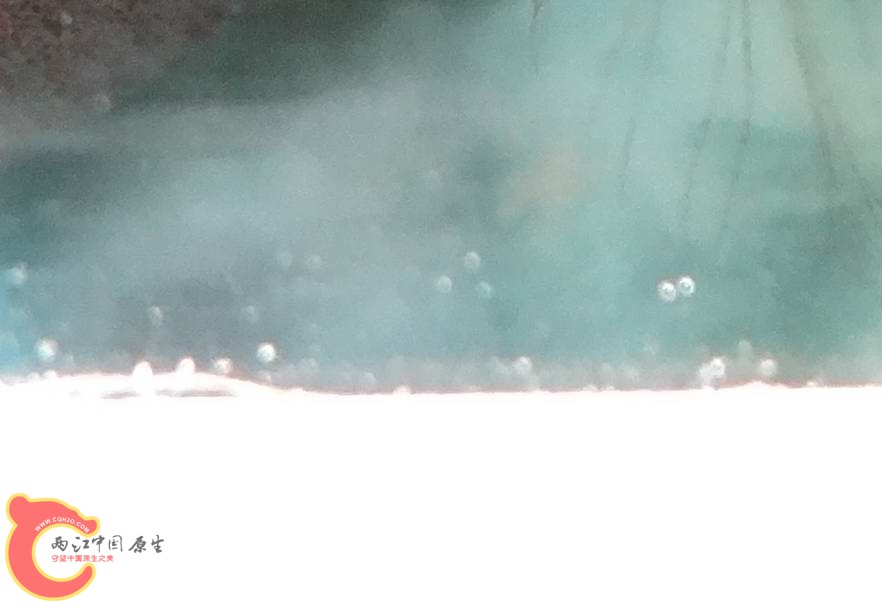 DSC05197 - 副本.JPG