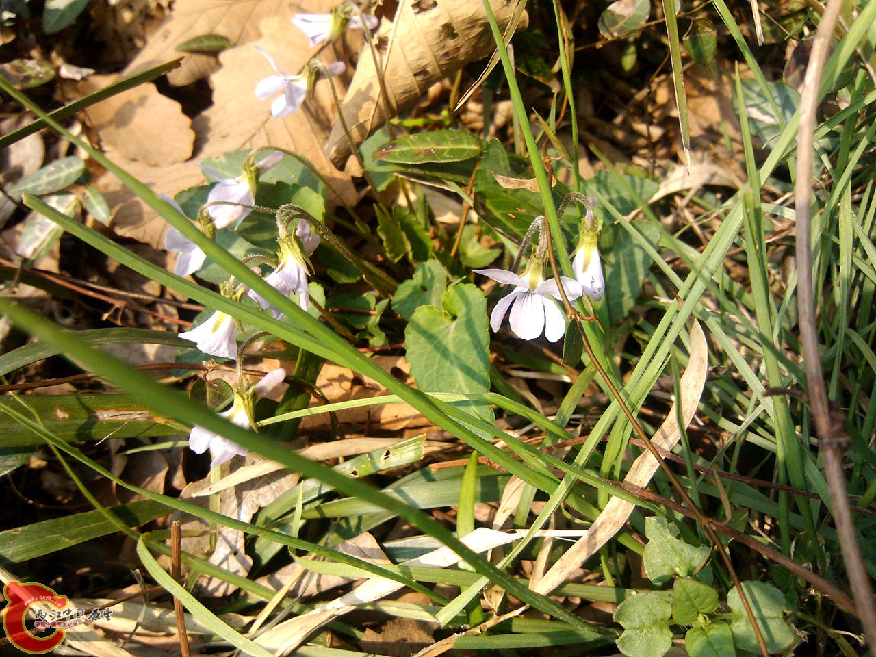 IMG_20140317_141146_副本.jpg