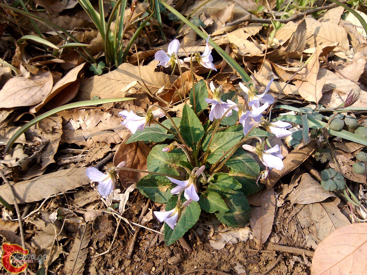 IMG_20140317_142100_副本.jpg