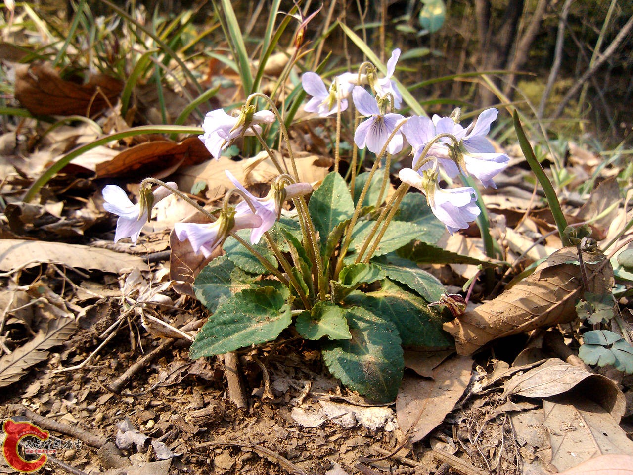 IMG_20140317_142109_副本.jpg