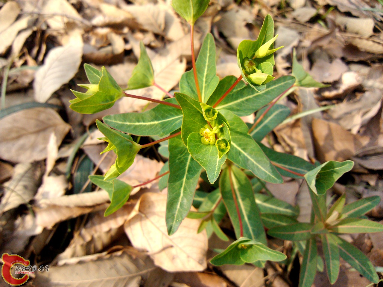 IMG_20140317_143146_副本.jpg