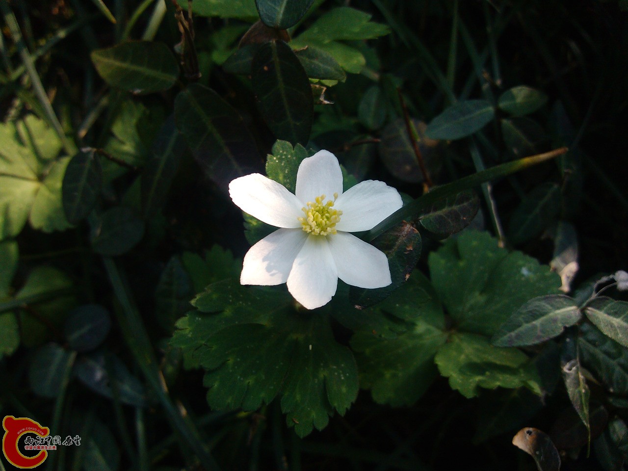 IMG_20140317_145736_副本.jpg