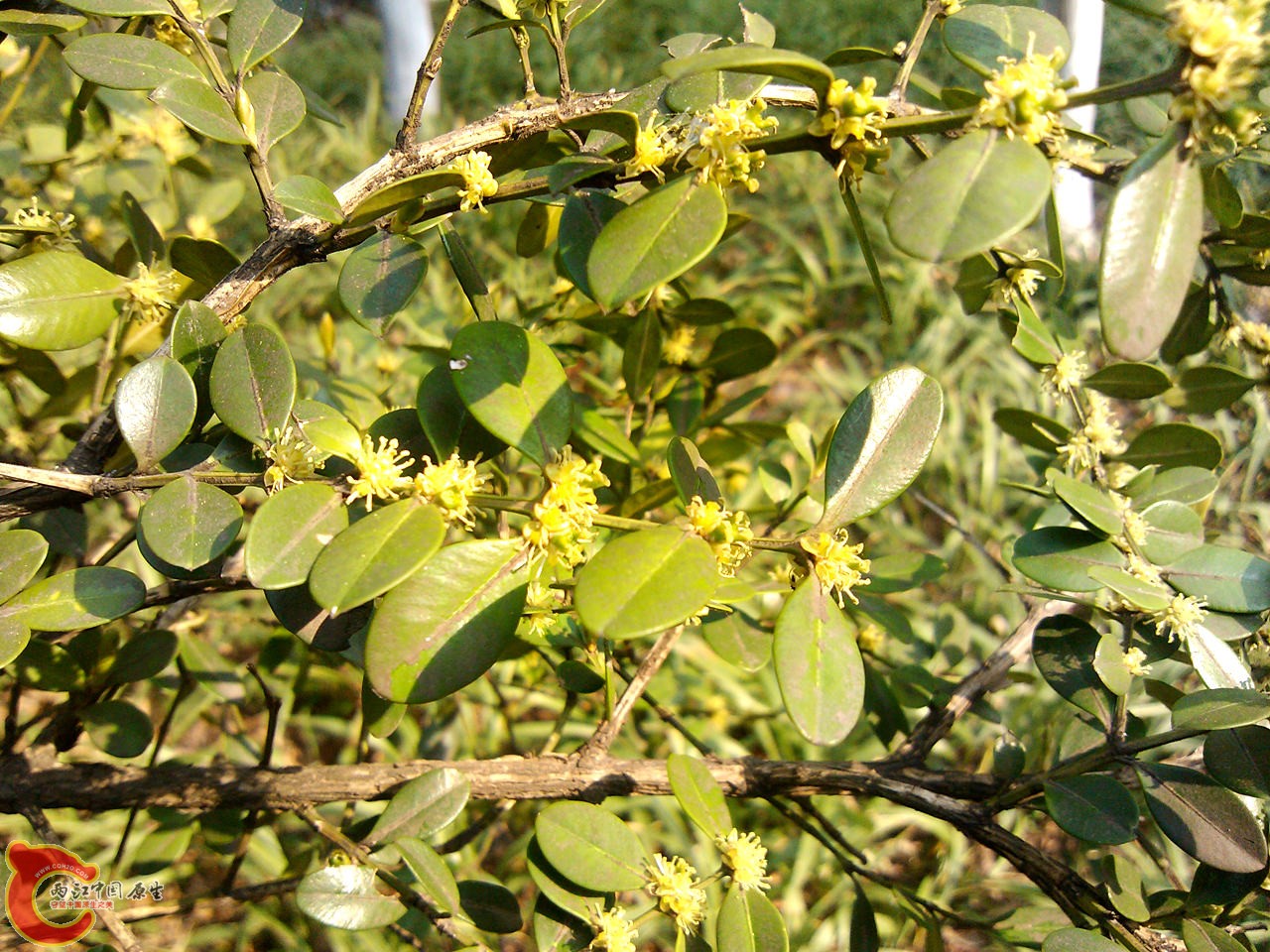IMG_20140317_150214_副本.jpg