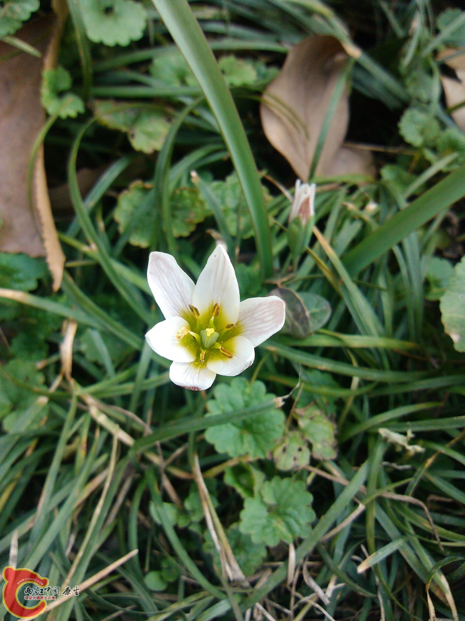 IMG_20140317_150850_副本.jpg