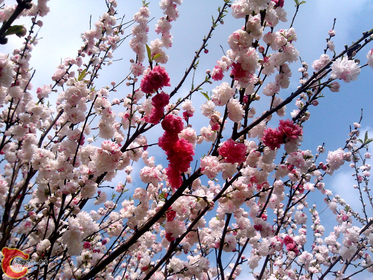 IMG_20140402_141936_副本.jpg