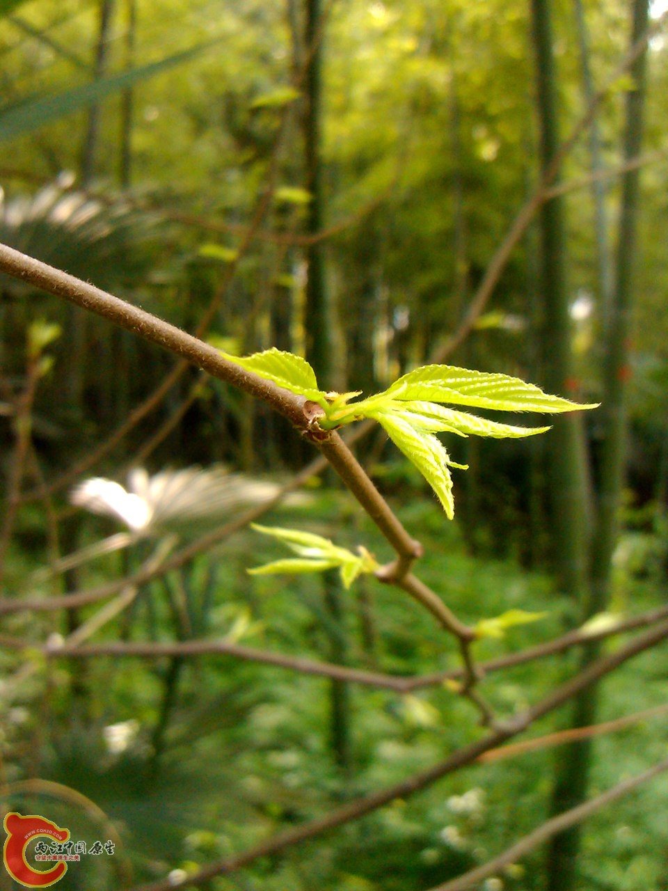 IMG_20140402_142935_副本.jpg