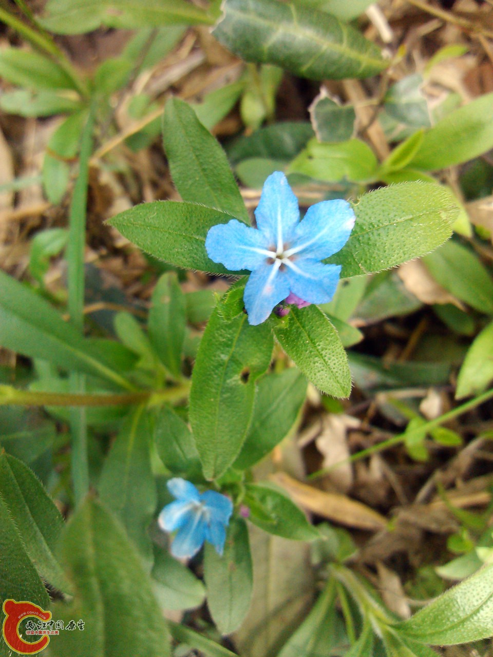 IMG_20140402_143013_副本.jpg