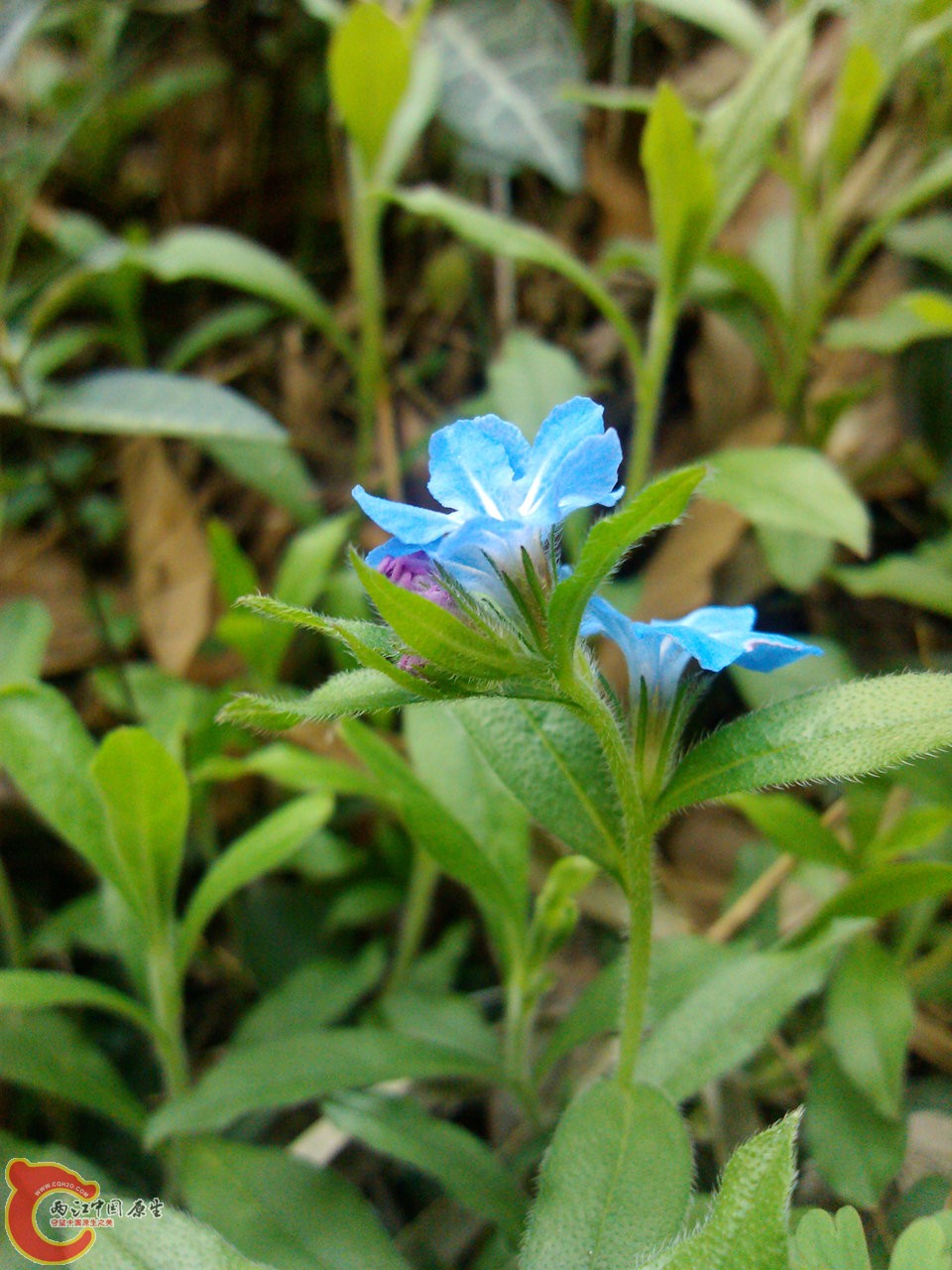 IMG_20140402_143645_副本.jpg