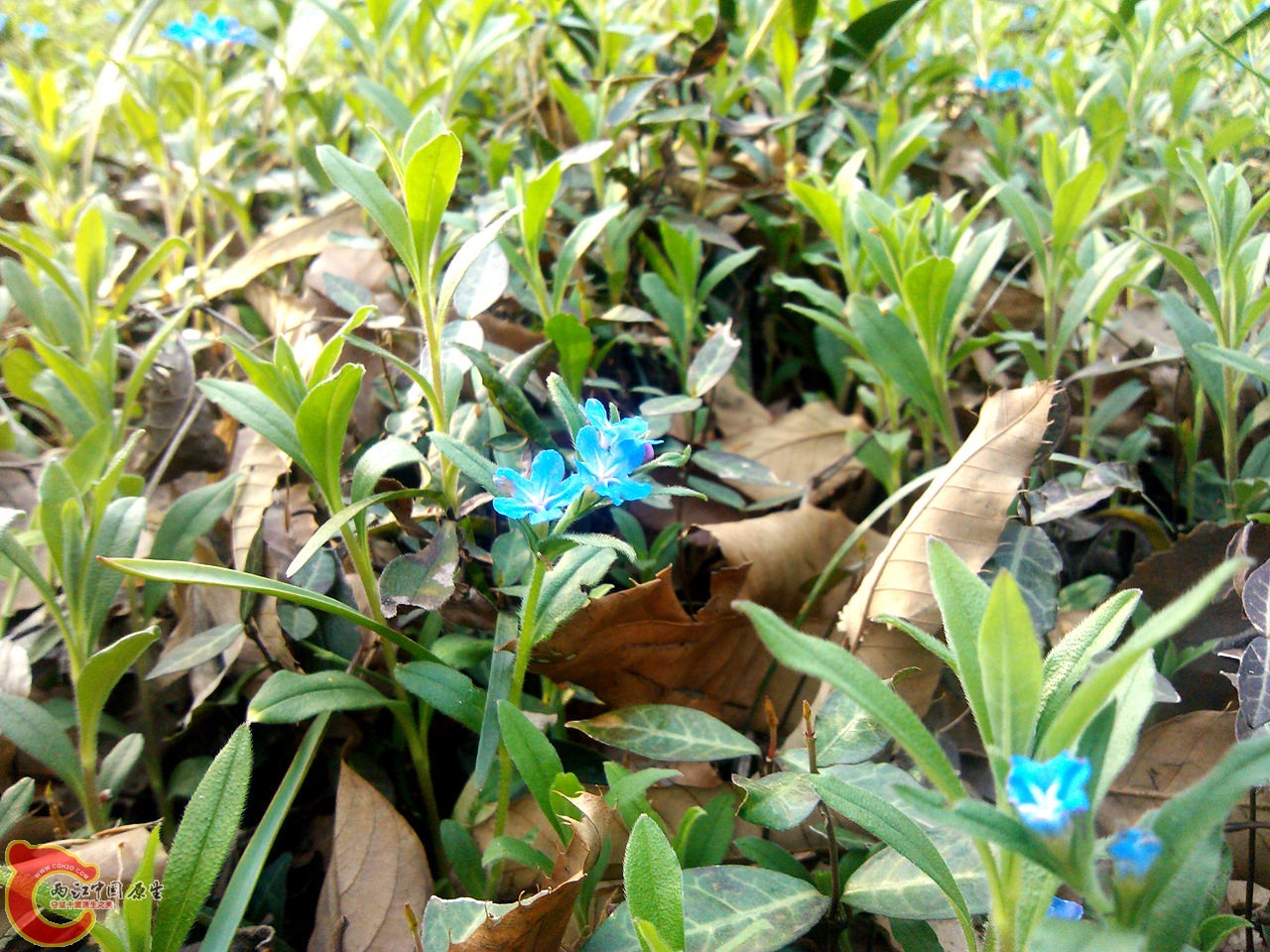 IMG_20140402_153149_副本.jpg