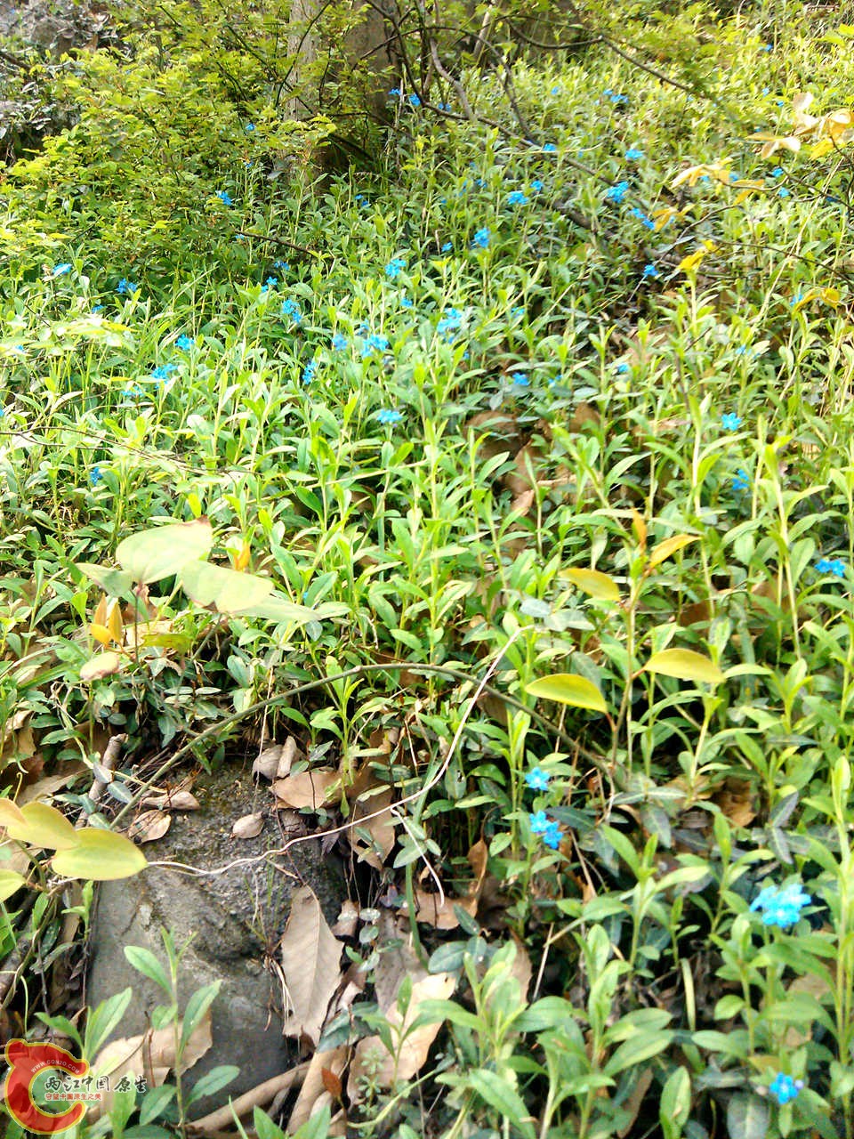 IMG_20140402_153515_副本.jpg