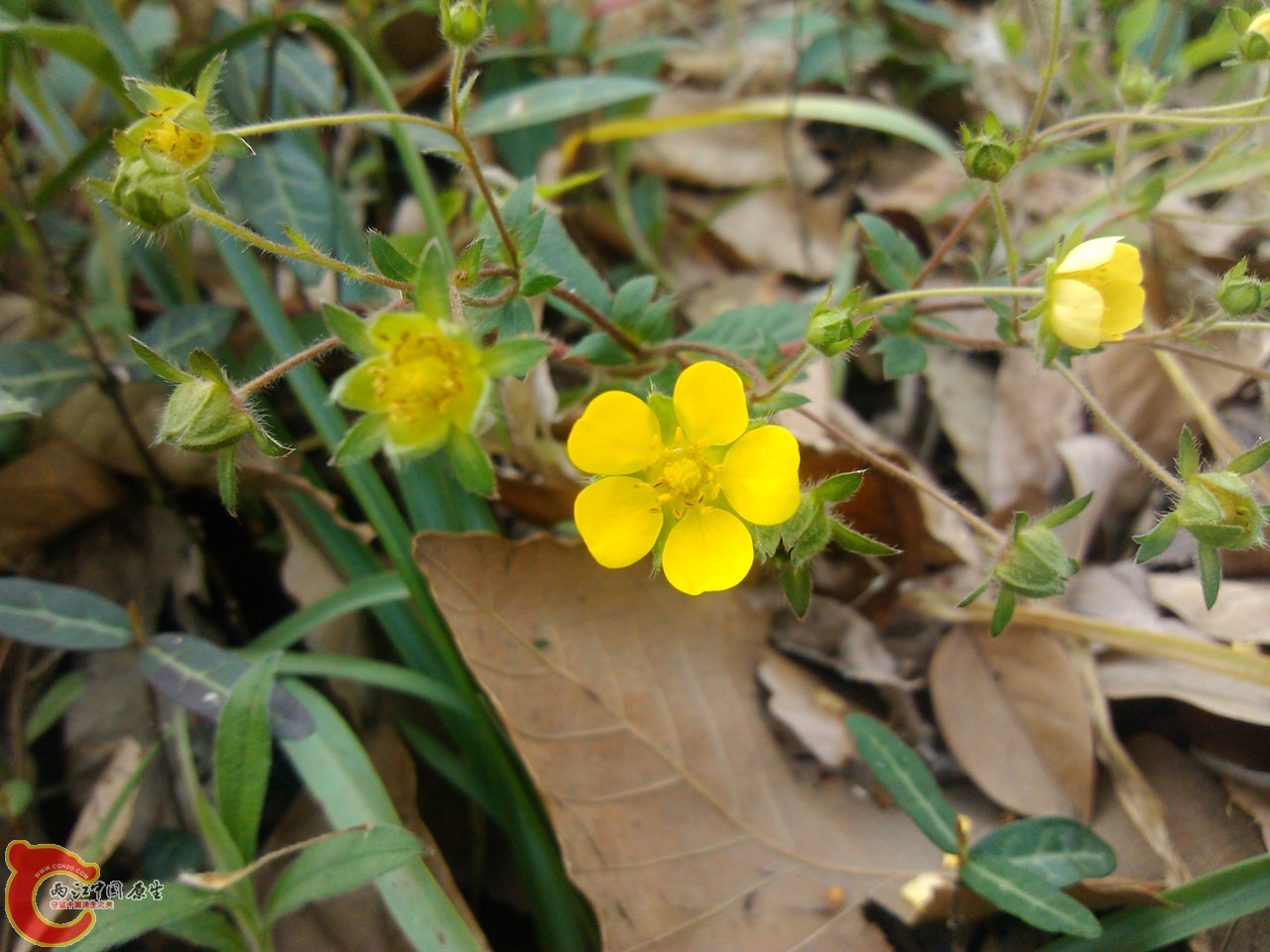 IMG_20140402_153625_副本.jpg