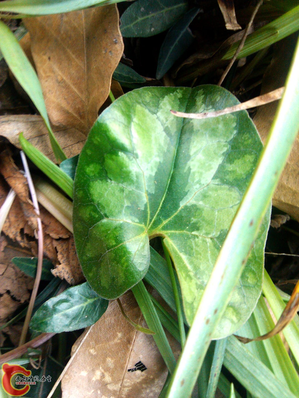 IMG_20140402_162009_副本.jpg