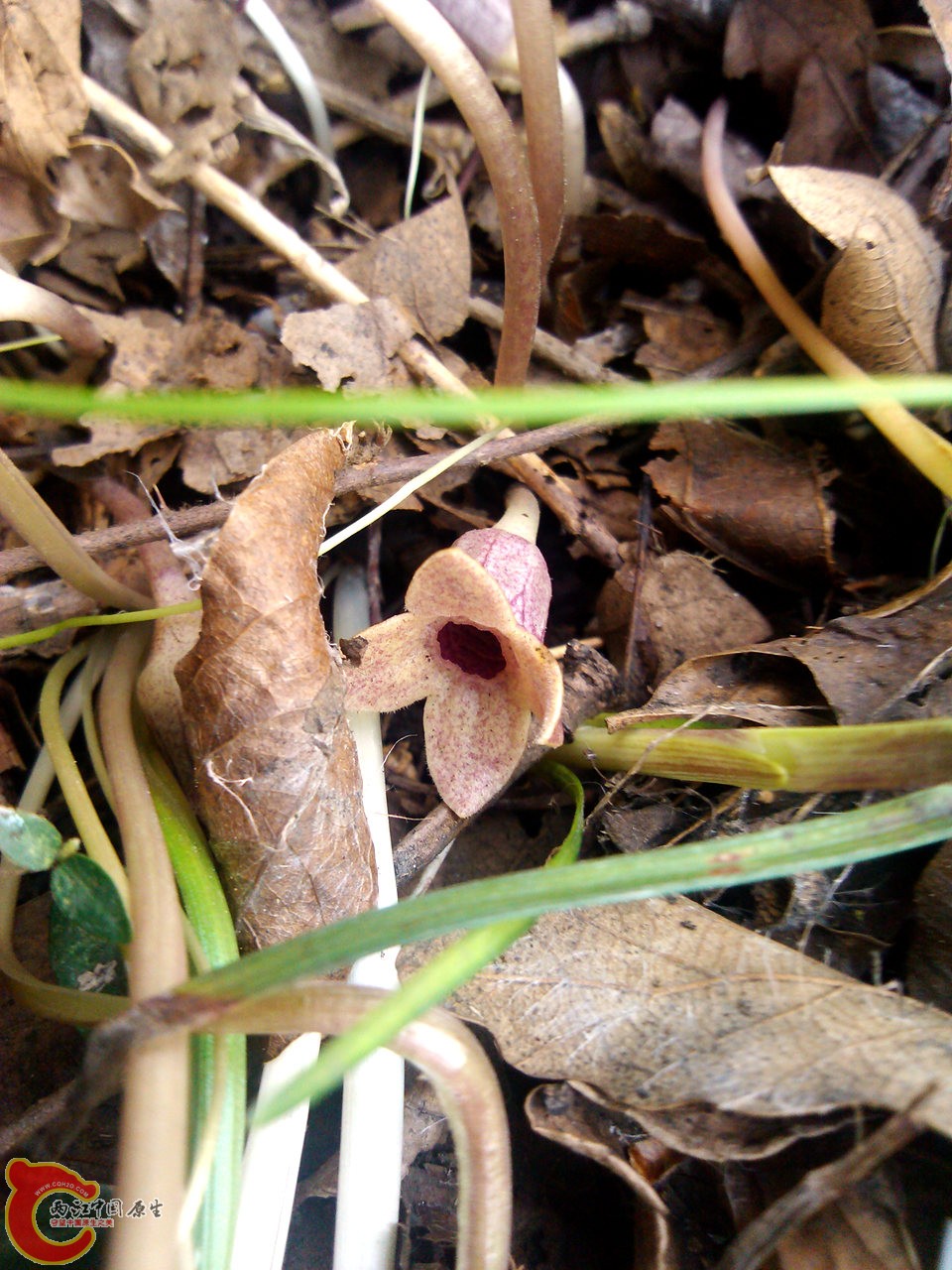 IMG_20140402_162013_副本.jpg