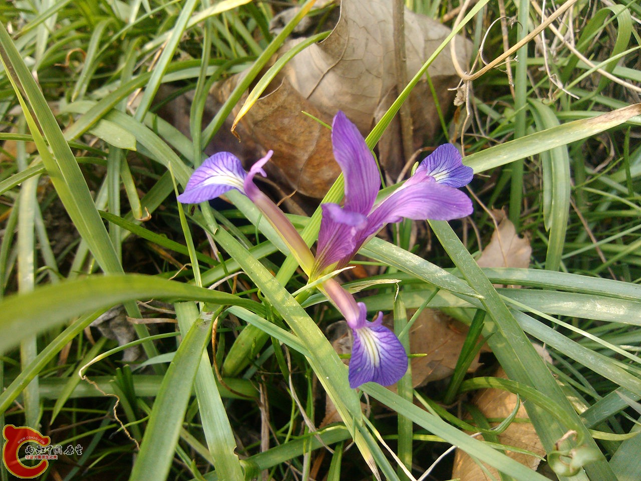 IMG_20140402_162831_副本.jpg