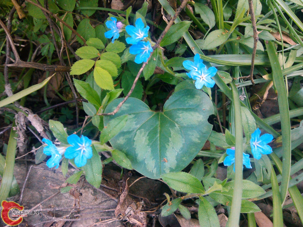 IMG_20140402_165154_副本.jpg