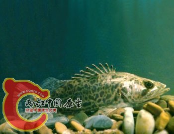 20110826155805908.jpg
