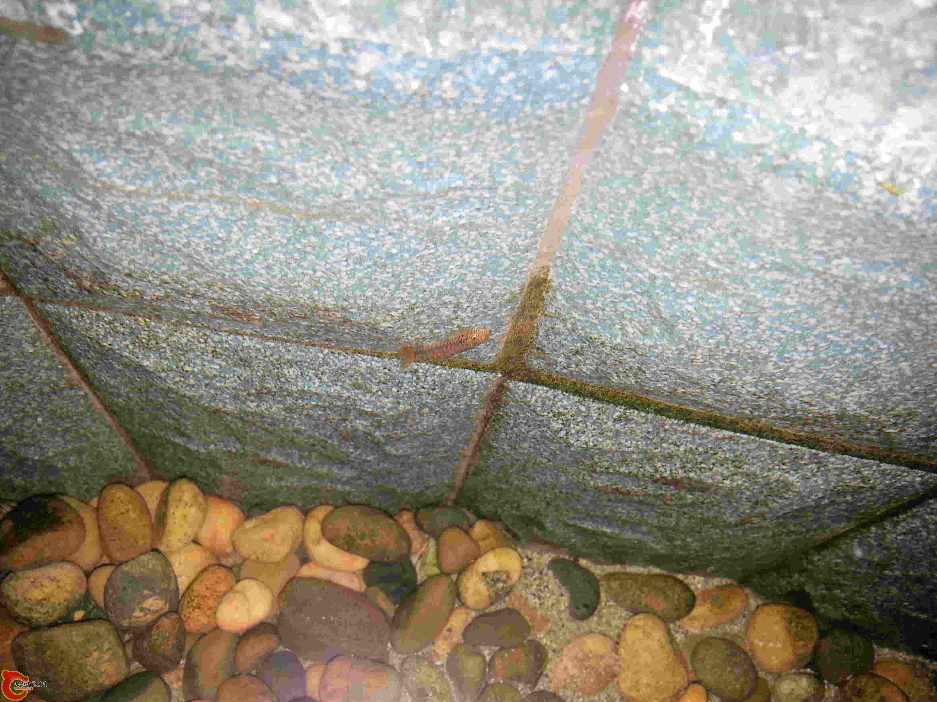 20140327_194340.jpg
