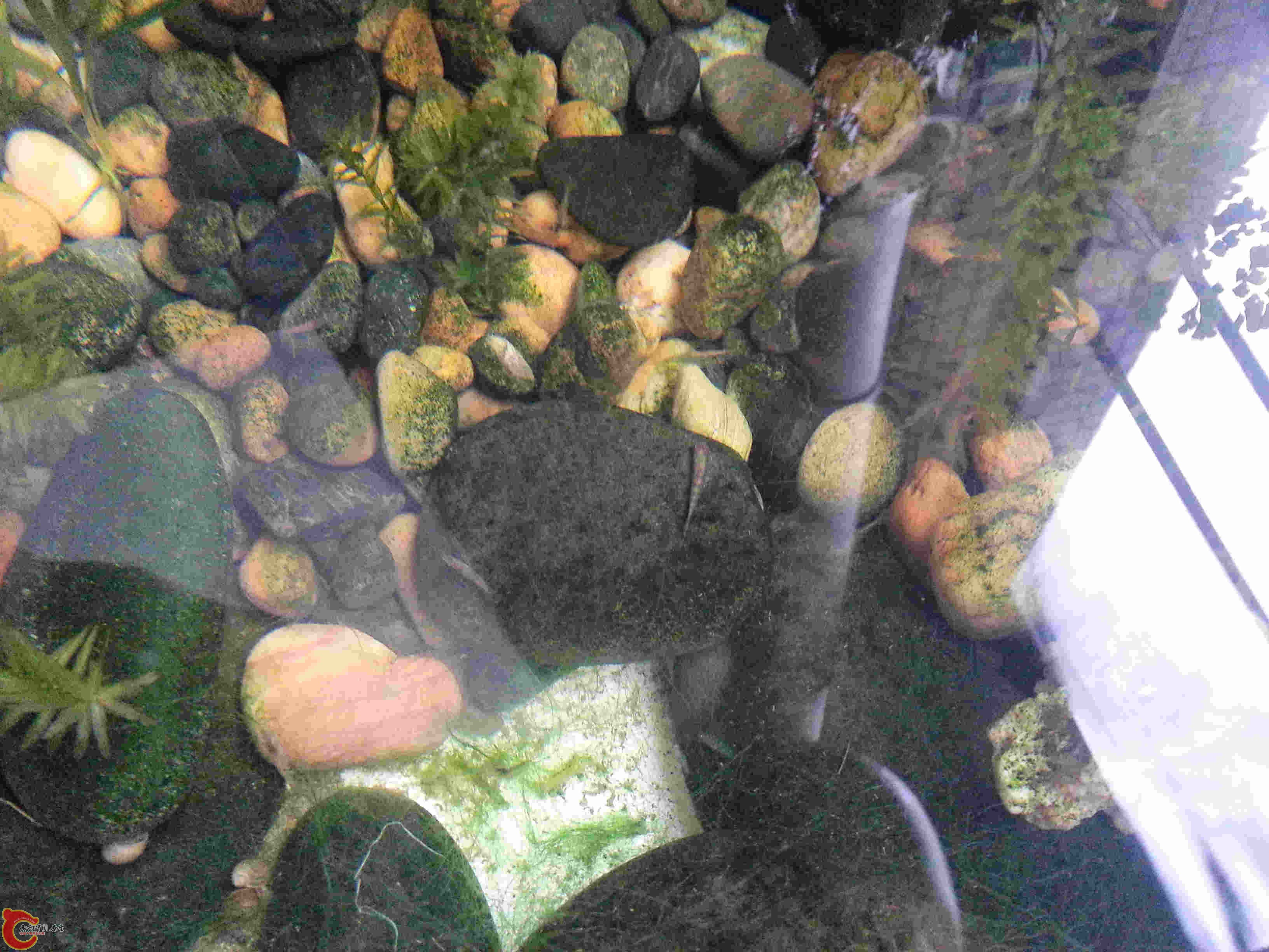 20140329_131426.jpg