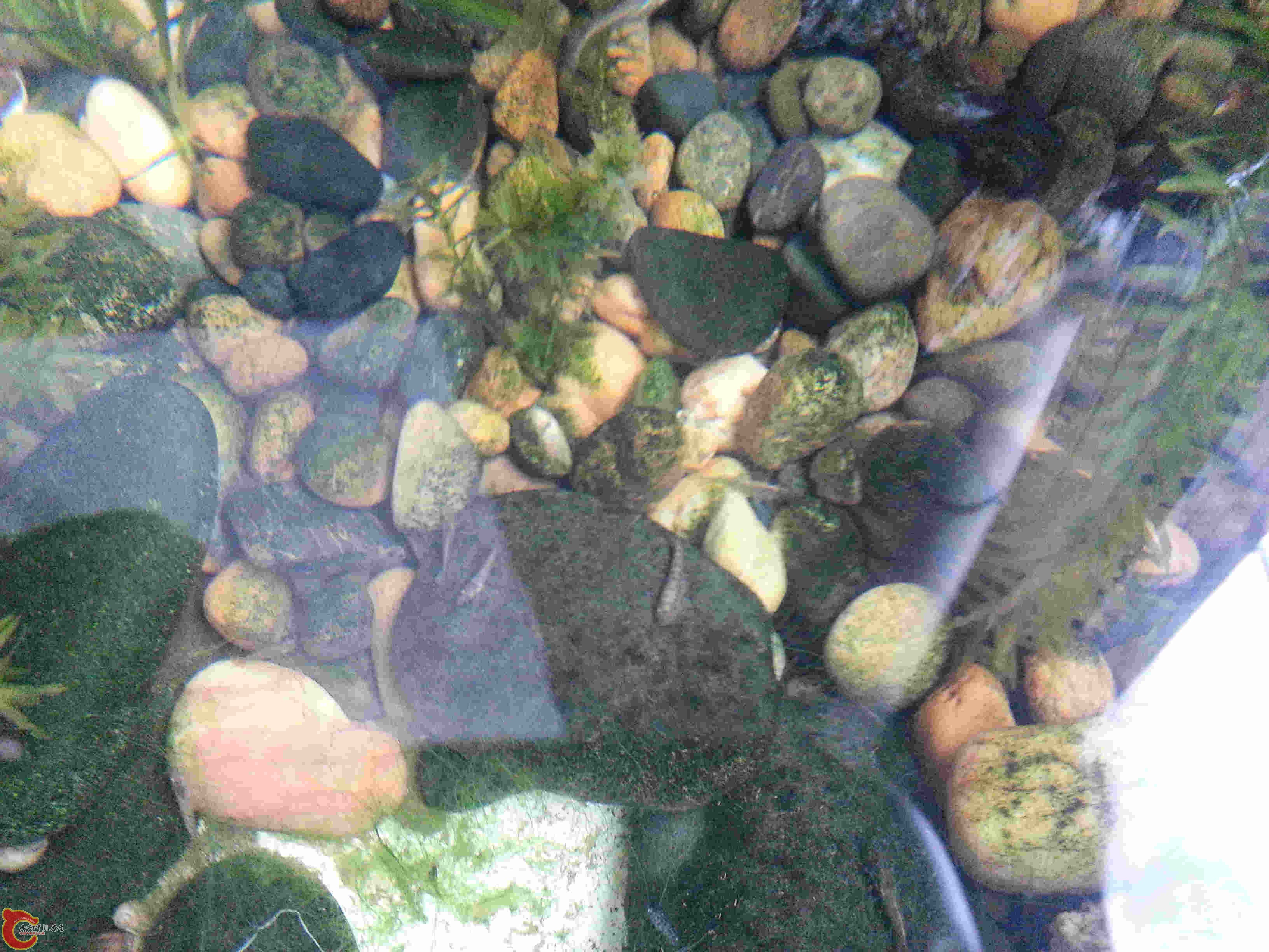 20140329_131528.jpg