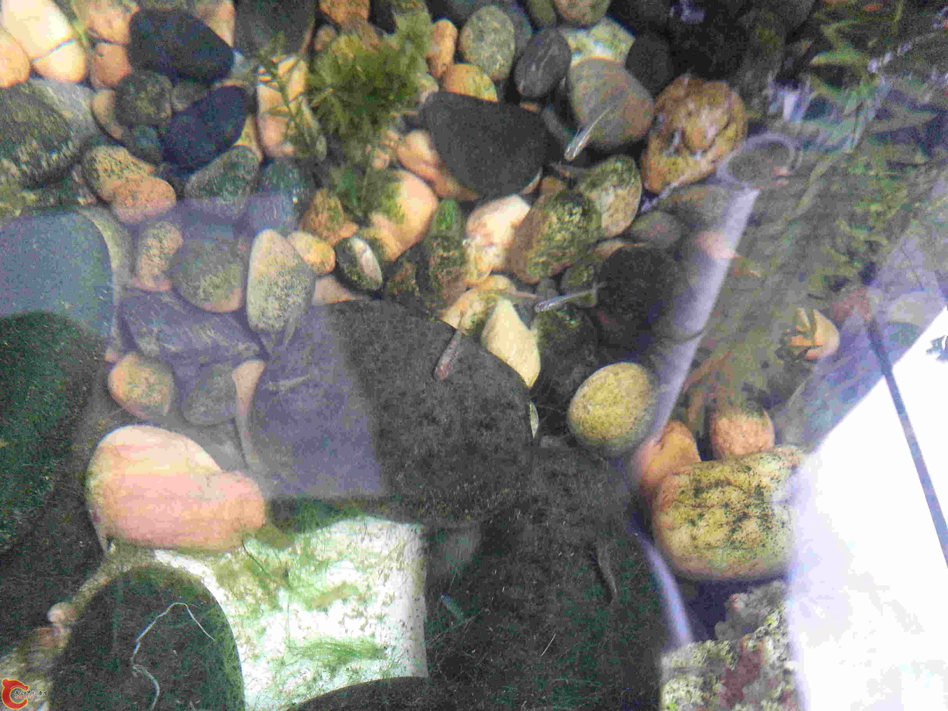 20140329_131537.jpg