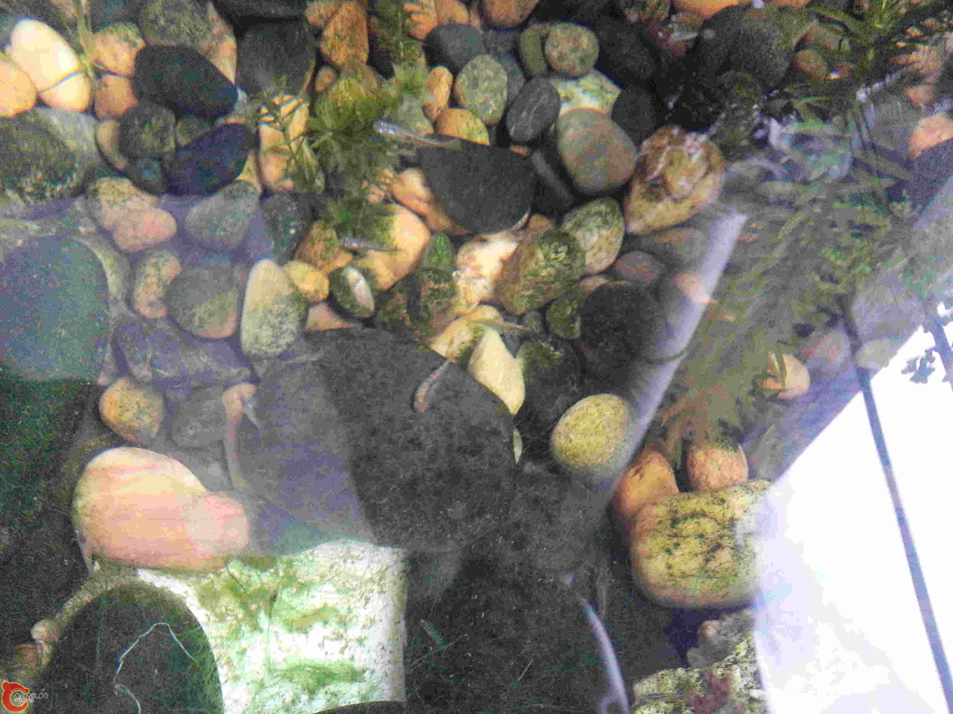 20140329_131544.jpg