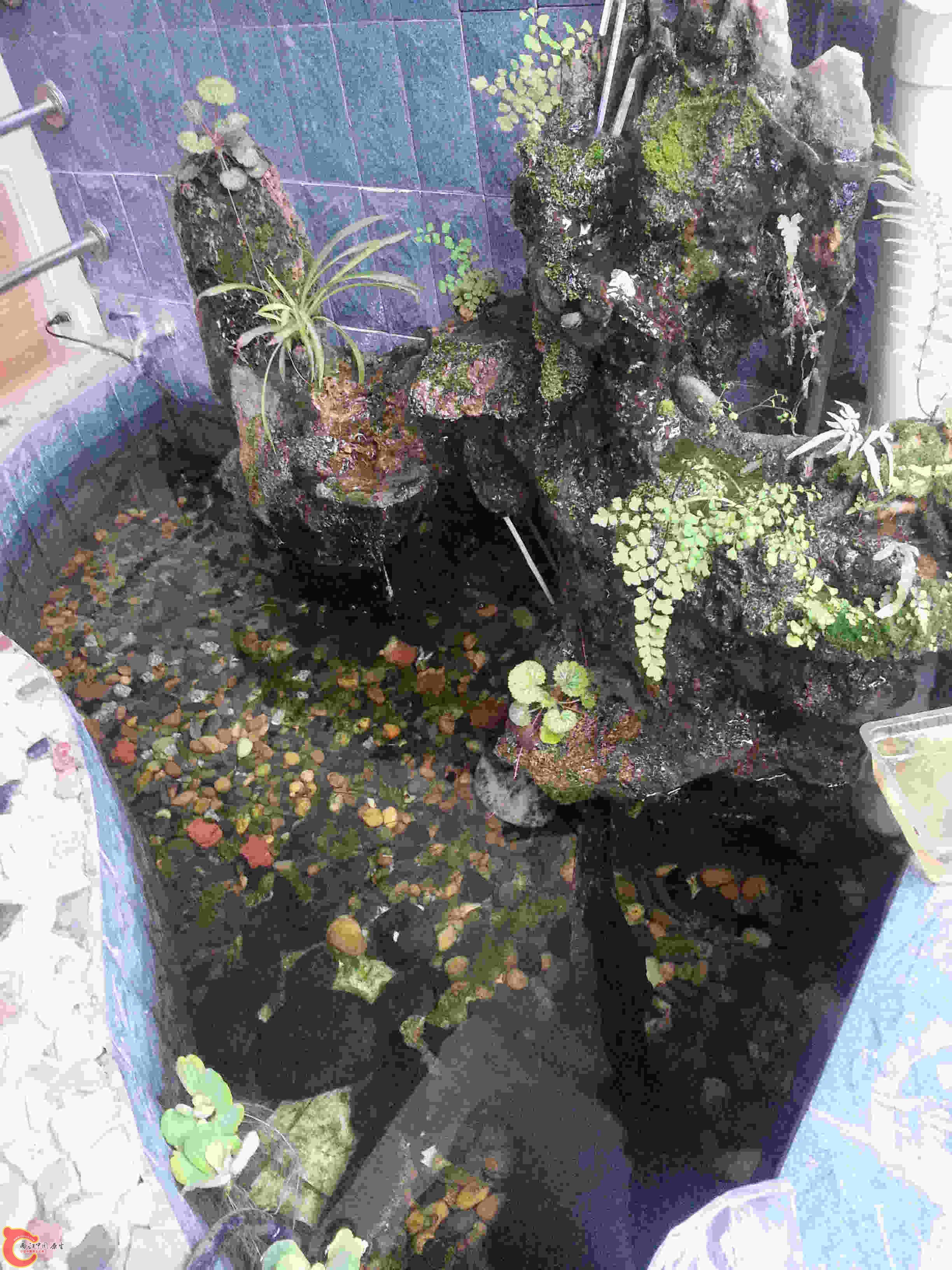 20140330_130120.jpg