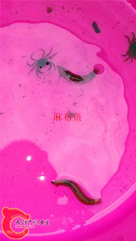 IMG_20140403_133906_副本.jpg