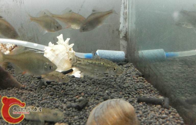 20140404_1940.jpg