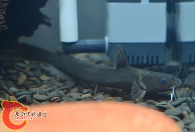 QQ图片20140405014034.jpg