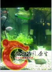 侧面全景