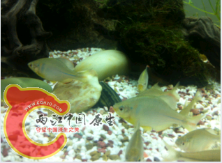 QQ截图20140407223818.png