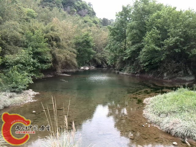 水非常清澈，看见鱼儿在水中游，那个激动啊！桶会不会太小装不下？