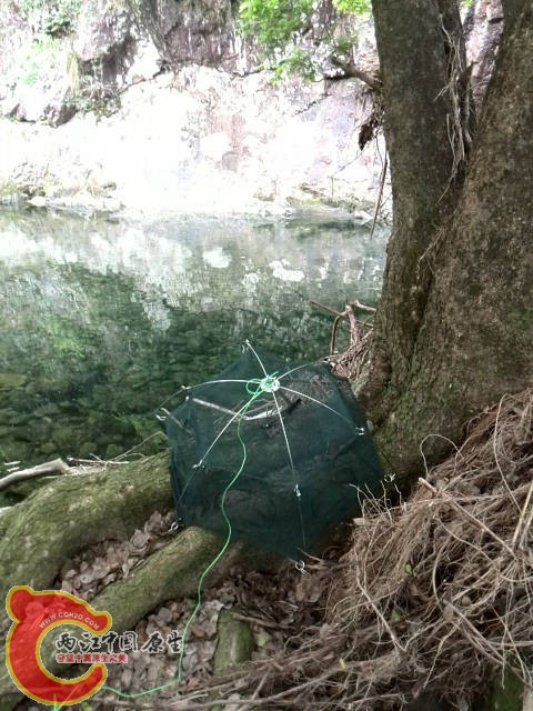 迫不及待找个水深鱼多的地方，TB买的鱼网，饵料。