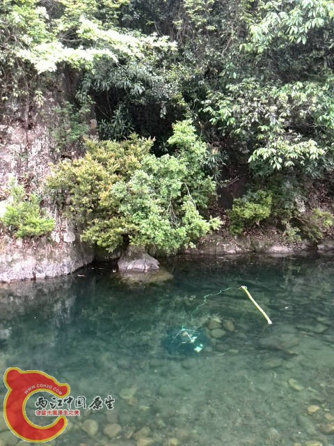 再换一个...TB坑爹啊，毛都没有