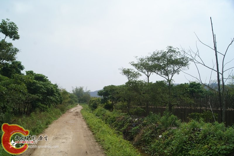 03.jpg
